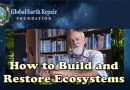 How to Create and Restore Robust Ecosystems (Video)