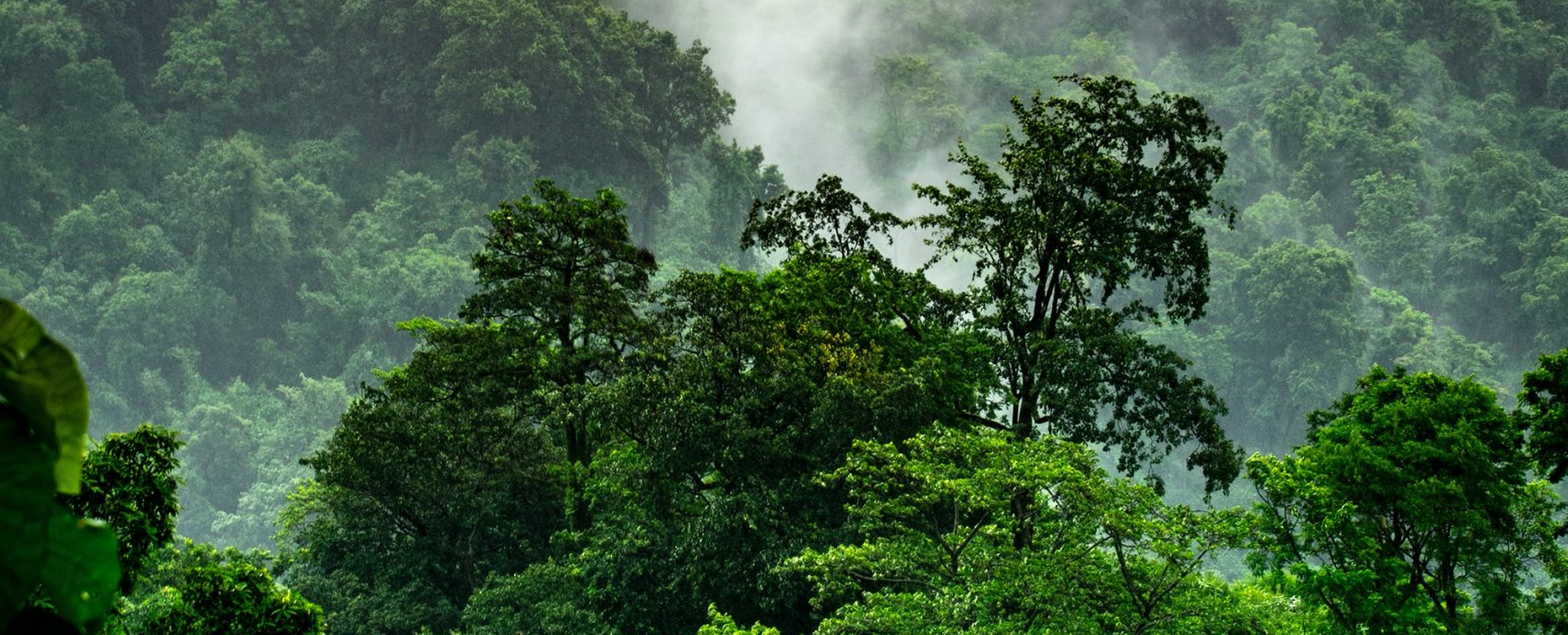 climate-landscapes-conference-global-earth-repair-foundation