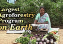 The Largest Agroecology Program on Earth – the Andhra Pradesh Community Managed Natural Farming Movement