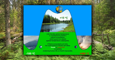 Climate Balance Diagram