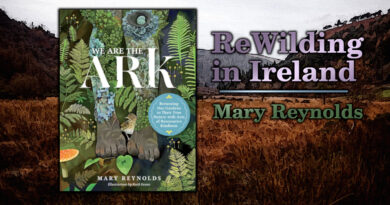 We are the Ark by Mary Reynolds