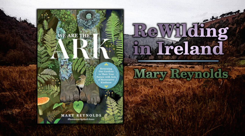 We are the Ark by Mary Reynolds