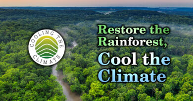 Cooling the Climate, Saving the Rainforest