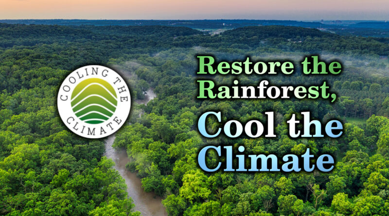 Cooling the Climate, Saving the Rainforest