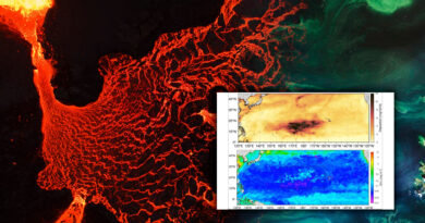 Kilauea Volcano Ash contributes to Plankton Bloom