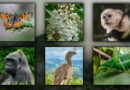 Happy International Biodiversity Day!