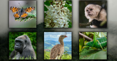 Happy International Biodiversity Day!