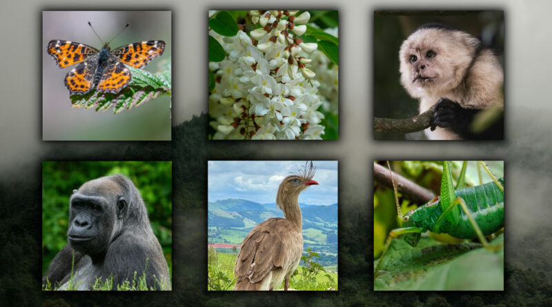 Happy International Biodiversity Day!