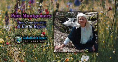 Pam Montgomery presents on Plant Consciousness