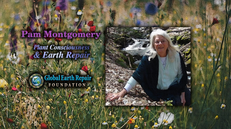 Pam Montgomery presents on Plant Consciousness