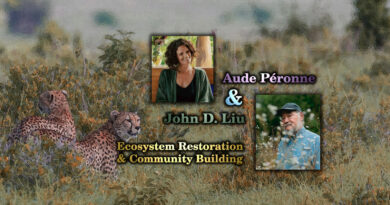 John Liu and Aude Peronne host a webinar about ecosystem restoration and community building