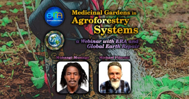 Medicinal Gardens in Agroforestry Systems
