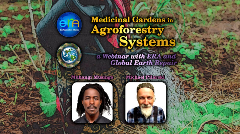 Medicinal Gardens in Agroforestry Systems