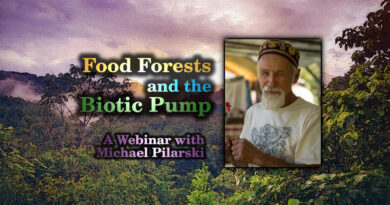 Food Forests and the Biotic Pump - Michael Pilarski