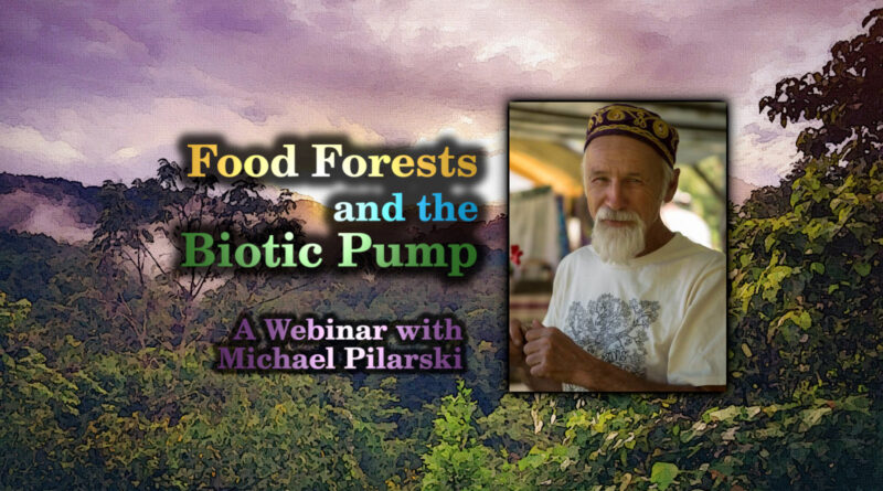 Food Forests and the Biotic Pump - Michael Pilarski