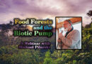 Michael Pilarski leads a webinar on the biotic pump and food forests.