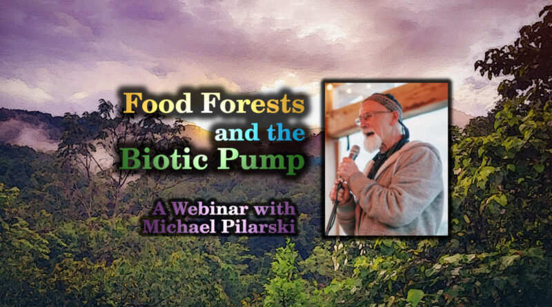 Michael Pilarski leads a webinar on the biotic pump and food forests.