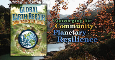 The Global Earth Repair Convergence