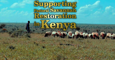 Supporting pastoral savannah restoration in Kenya