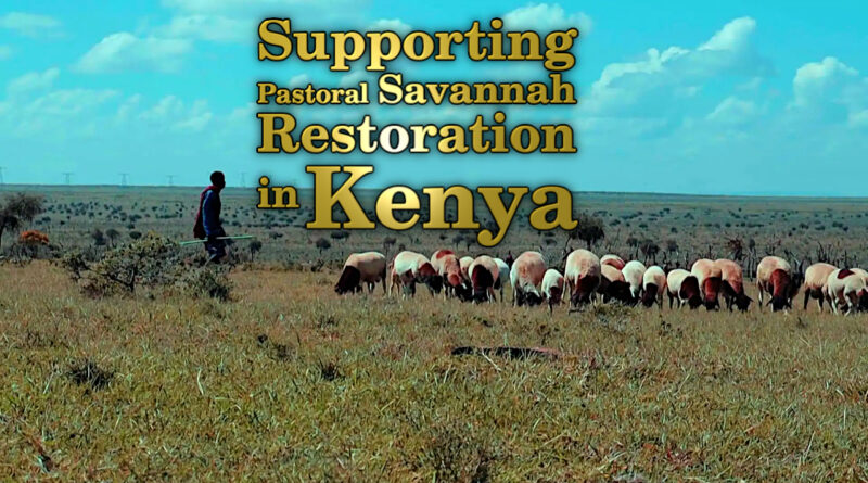 Supporting pastoral savannah restoration in Kenya