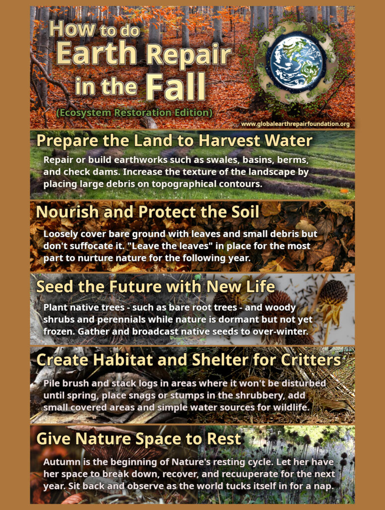 A handy infographic for how to care for the land in the autumn.