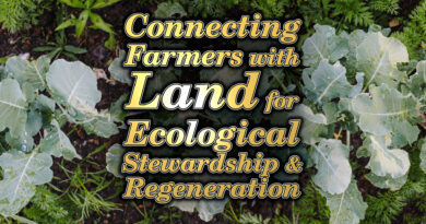 The Farmer's Land Trust Conversation