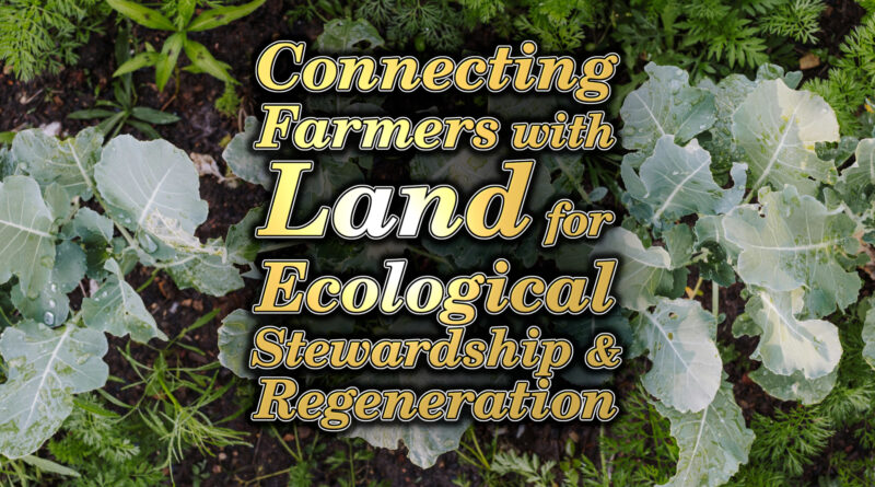 The Farmer's Land Trust Conversation