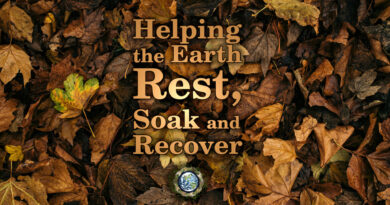Helping Earth Rest for Autumn