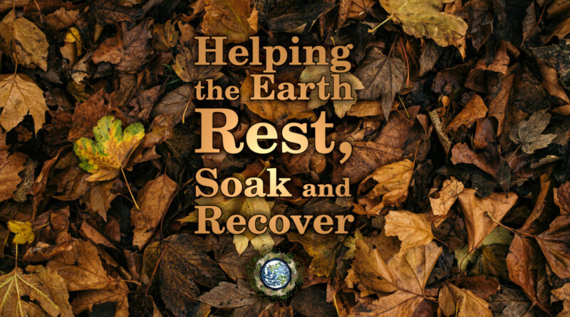 Helping Earth Rest for Autumn