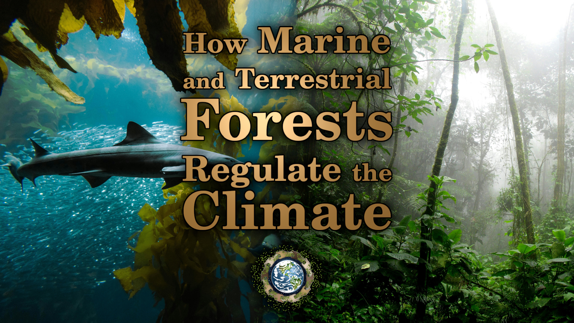 Marine and Terrestrial Forests Affect the Climate