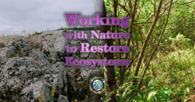 Working with Nature to Restore Ecosystems