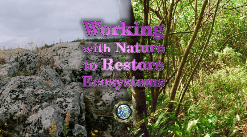 Working with Nature to Restore Ecosystems
