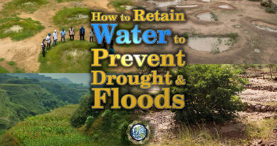 How to Retain Water to Prevent Drought and Floods