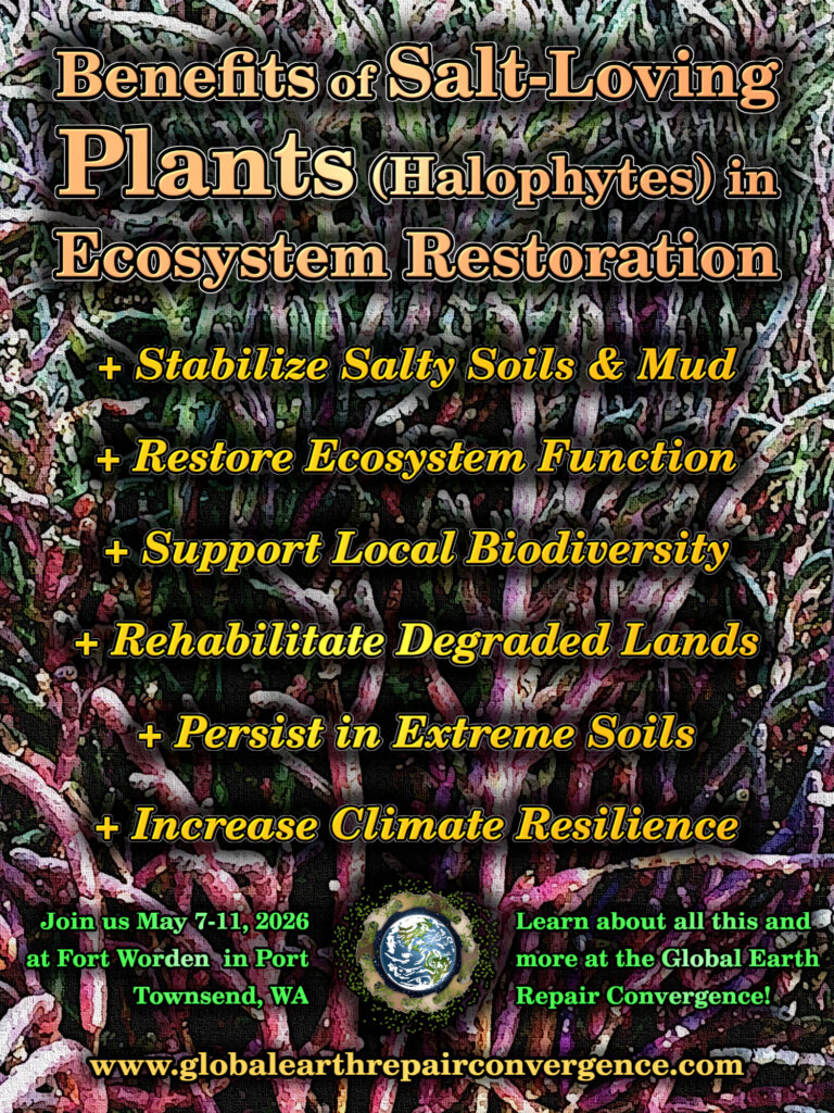 Halophytes Infographic