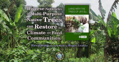 Networks of Living Trees