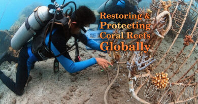 Global Coral Reef Alliance