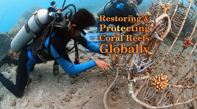 Global Coral Reef Alliance