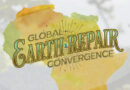 Africa Online Program at the Global Earth Repair Convergence!